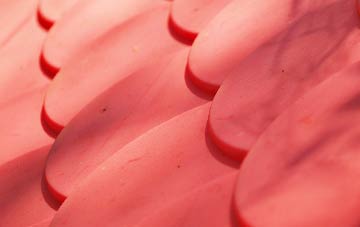 Conasta plastic roof costs