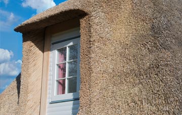 Conasta thatch roof disadvantages