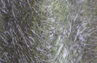 Conasta fibreglass roof work